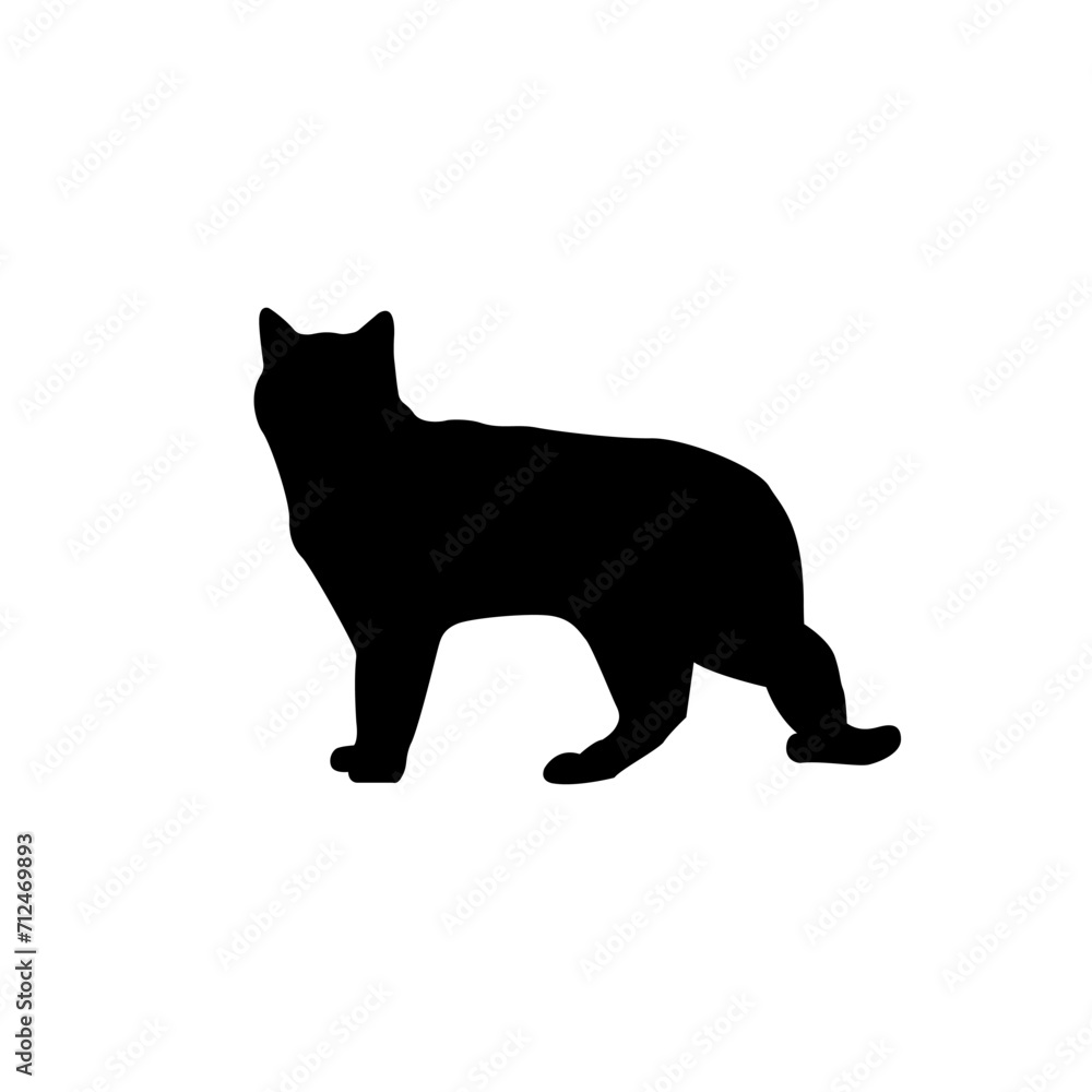 Fototapeta premium black shadow of cat Walking, vector illustration
