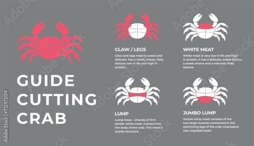 Cutting meat crab carcass, seafood, turkey, pork, lamb, cow, chicken guide. Diagrams сutting parts meat lobster, seafood. Butcher guide. Vector flat color drawing illustration. Isolated.