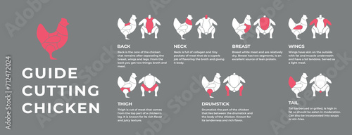 Guide cutting meat carcass chicken, duck, turkey, pork, lamb, cow. Butcher guide. Diagrams сutting parts meat carcass domestic farm poultry and farm livestock. Vector flat color illustration isolated.