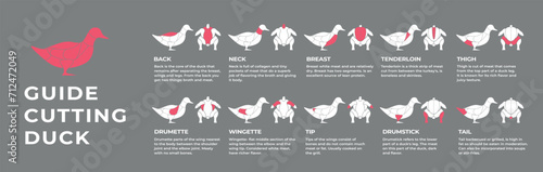 Guide cutting meat carcass duck, turkey, pork, lamb, cow, chicken. Butcher guide. Diagrams сutting parts meat carcass domestic farm poultry and farm livestock. Vector flat color illustration isolated.
