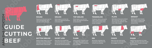 Guide cutting meat carcass beef, cow, turkey, lamb, pork, chicken. Butcher guide. Diagrams сutting parts meat carcass domestic farm poultry and farm livestock. Vector flat color illustration isolated.