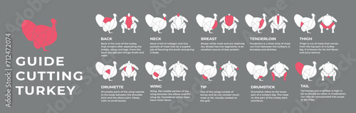 Guide cutting meat carcass  turkey, lamb, pork, cow, chicken. Butcher guide. Diagrams сutting parts meat carcass domestic farm poultry and farm livestock. Vector flat color illustration isolated.