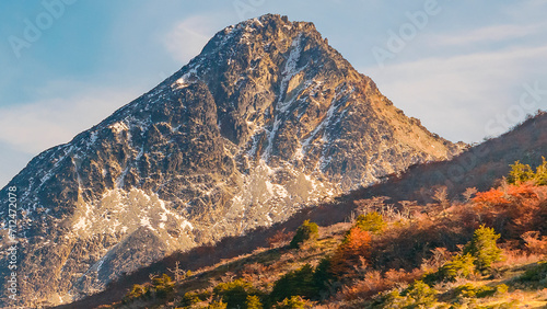 Photography Forest and rocky mountains landscape, tierra del fuego, argentina