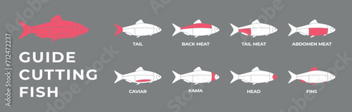 Cutting meat fish carcass, seafood, turkey, pork, lamb, cow, chicken guide. Diagrams сutting parts meat lobster, seafood. Butcher guide. Vector flat color drawing illustration. Isolated.