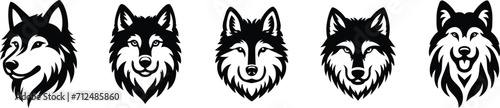 Wolf face vector, isolated on white