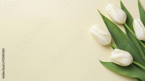 Close-Up Pink Tulips on Beige  Botanical Fine Art Poster with Vibrant Spring Flowers  Delicate Petals  and Soft Background Copy Space for Elegant Decor and Floral Creativity