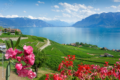 Fototapeta Naklejka Na Ścianę i Meble -  View at Lavaux vineyard and Geneva lake in Switzerland