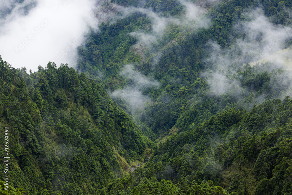Lush greenery mountain with the foggy mist Lush greenery mountain with the foggy mist