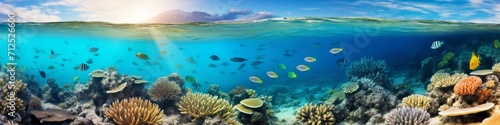 A panoramic view of a vibrant coral reef beneath the clear, turquoise waters of the ocean