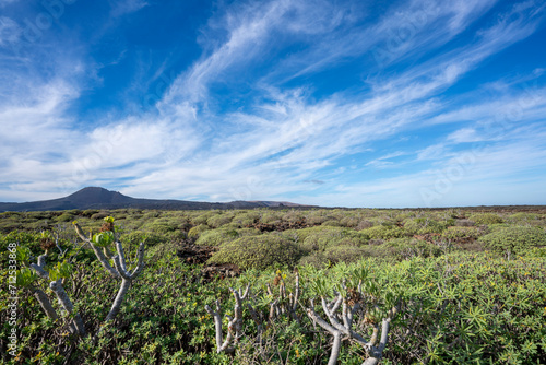 landscape of Lanzarote island