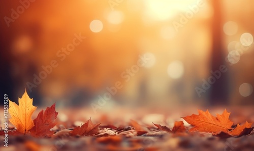 Autumn leaves in the sunlight. Blurred background