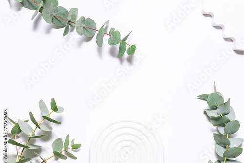 Fresh green eucalyptus leaves on white background top view. 