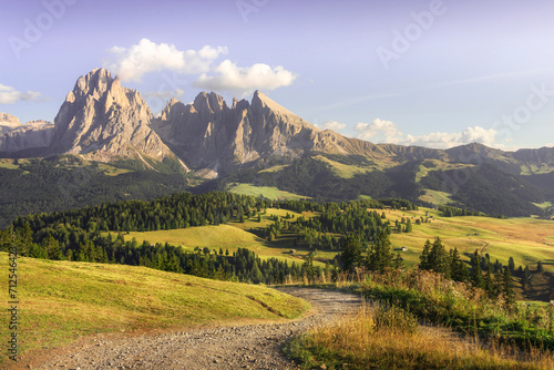 Alpe di Siusi or Seiser Alm, Sassolungo mountain and pathway, Dolomites Alps, Italy. © stevanzz