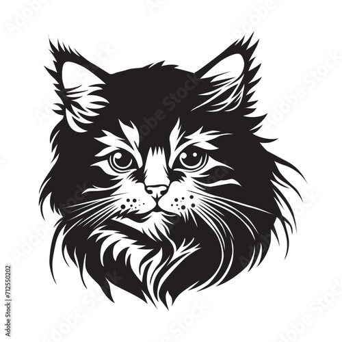 Maine coon, Cat Face, Maine coon illustration, Cat vector, Cute Cat, Funny Cat, Maine coon Black And White, pet, Animal