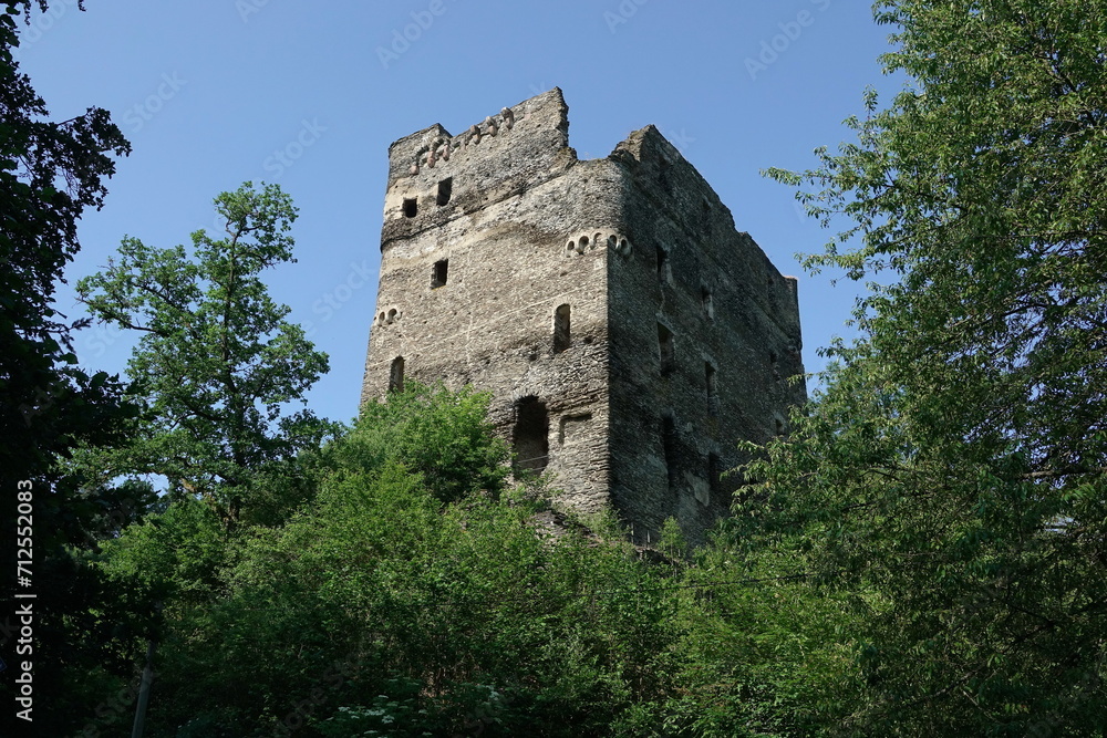 Burg Balduinseck im Hunsrueck