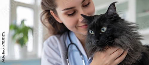 Young female veterinarian examining cute black cat at vet clinic.