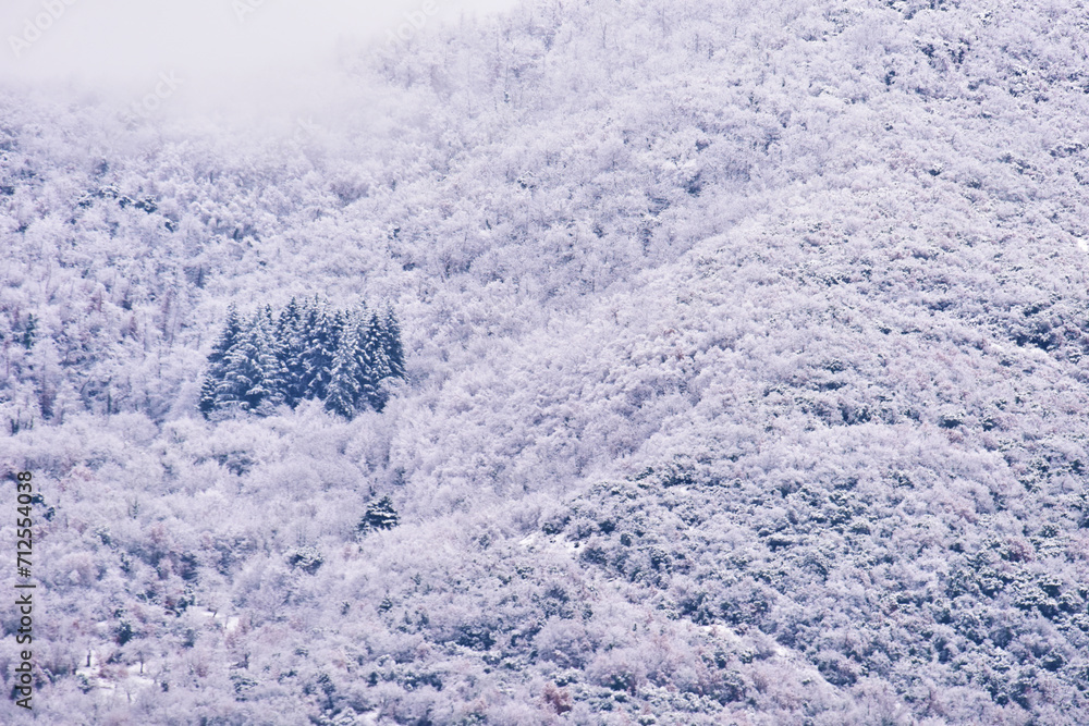 Obraz premium Neve!!!