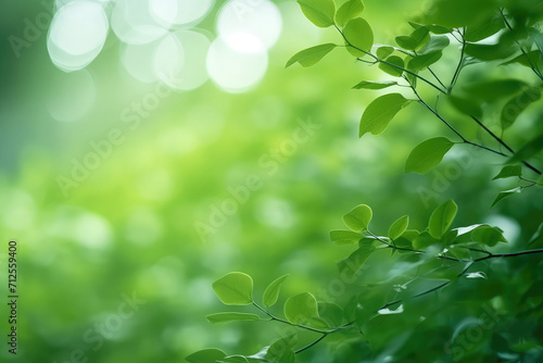 Nature of green leaf in garden at summer. Closeup beautiful Natural green leaves plants using as spring background.