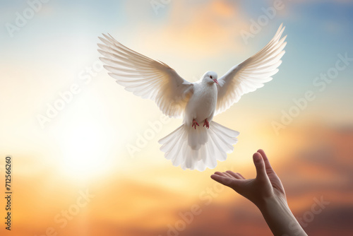 Freedom's emblem, Hands releasing a dove into the air, a powerful symbol of liberty and peace.