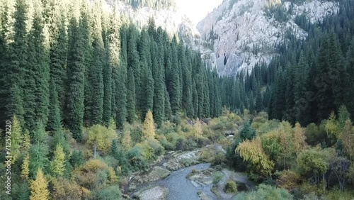 Nature park lake with old trees
