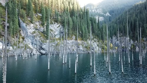 Nature park lake with old trees