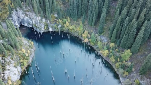 Nature park lake with old trees