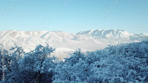 Winter mountain snow field, car drive on snow country road