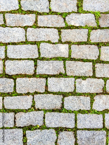 Background seamless texture of green grass sprouted between bricks of cobblestone path, top view. Concept of harmonious fusion of city and nature. 