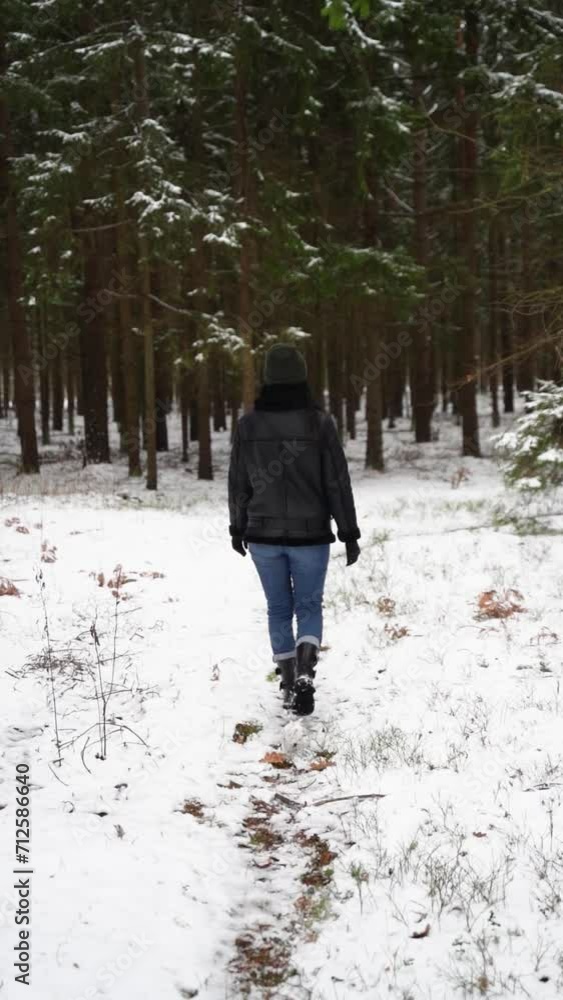 woman walking in the forest in winter, rear view woman walking in the forest in winter, rear view