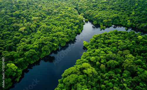 Aerial view of Amazon rainforest in Brazil, South America. © Curioso.Photography