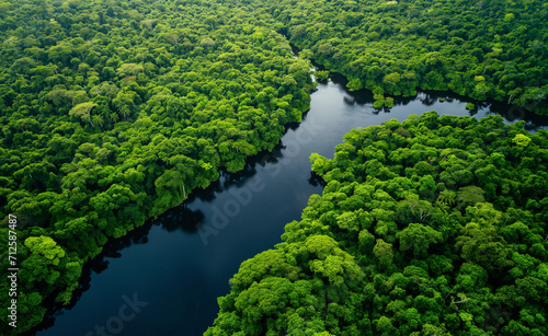 Aerial view of Amazon rainforest in Brazil, South America.