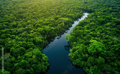 Aerial view of Amazon rainforest in Brazil, South America.