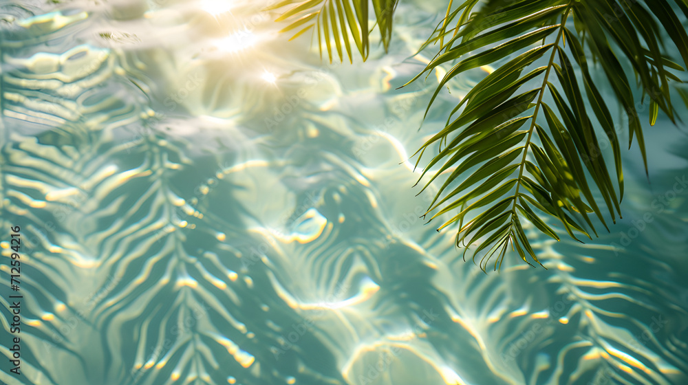 Shadow of a palm tree on a water background. Natural background. Banner size	
