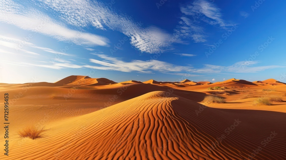 The background shows a wide expanse of desert during the day The background shows a wide expanse of desert during the day