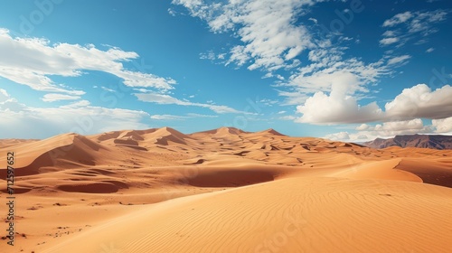 The background depicts a vast desert landscape during daylight hours. 