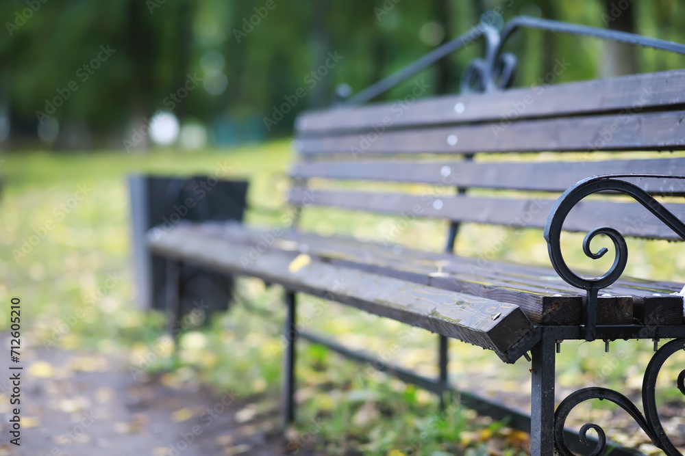 Autumnal park with bench. Falling leaves. Focus on bench Autumnal park with bench. Falling leaves. Focus on bench