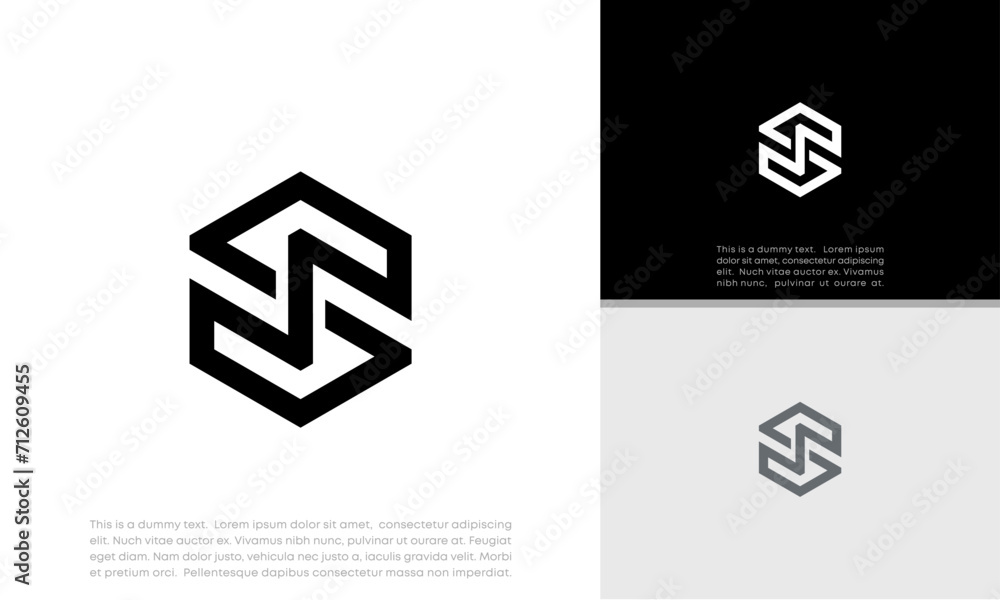 Initials S logo design. Initial Letter Logo. Innovative high tech logo template.