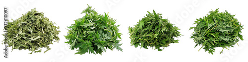 Mugwort  Herbs Pile Of Heap Of Piled Up Together Hyperrealistic Highly Detailed Isolated On Transparent Background Png File photo