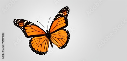  a close up of a butterfly flying in the air with it's wings spread wide and wings spread wide, with a light gray sky in the background behind it.