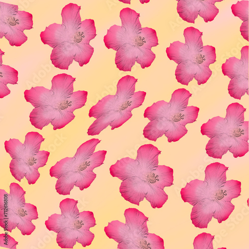 Fototapeta Naklejka Na Ścianę i Meble -  seamless pattern with pink flowers