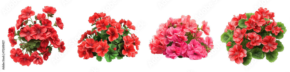Geraniums  Herbs Pile Of Heap Of Piled Up Together Hyperrealistic Highly Detailed Isolated On Transparent Background Png File