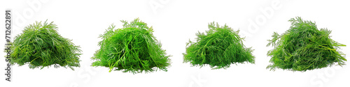 Dill  Herbs Pile Of Heap Of Piled Up Together Hyperrealistic Highly Detailed Isolated On Transparent Background Png File