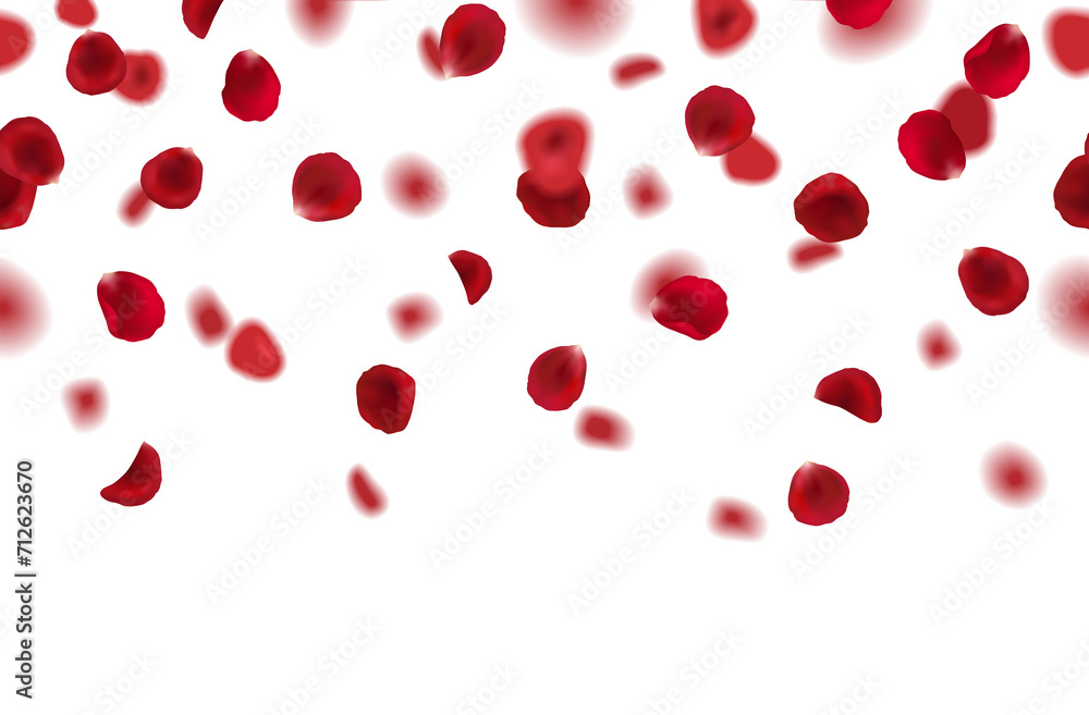 Realistic seamles border with falling red rose petals on transparent background Realistic seamles border with falling red rose petals on transparent background