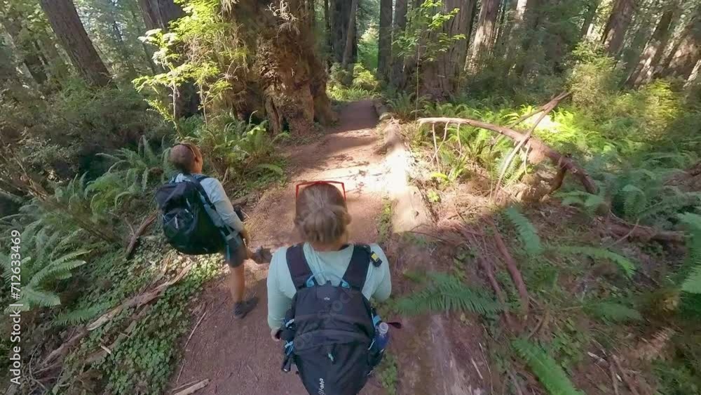 Couple Walking Through Redwood National Park Couple Walking Through Redwood National Park