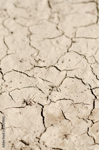 Top view of dry soil with cracks and fissures, climate change or global warming concept background, natural backdrop