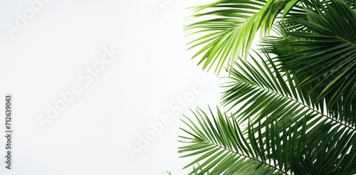 Postcard for Easter and Palm Sunday, palm leaves laid out on a background of old plaster with space for concept