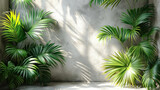 Decorating the space with palm trees and house plants, palm trees near the wall in the patio, sunlight on the leaves and wall
