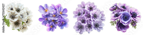 Windflower Flower Pile Of Heap Of Piled Up Together Hyperrealistic Highly Detailed Isolated On Transparent Background Png File
