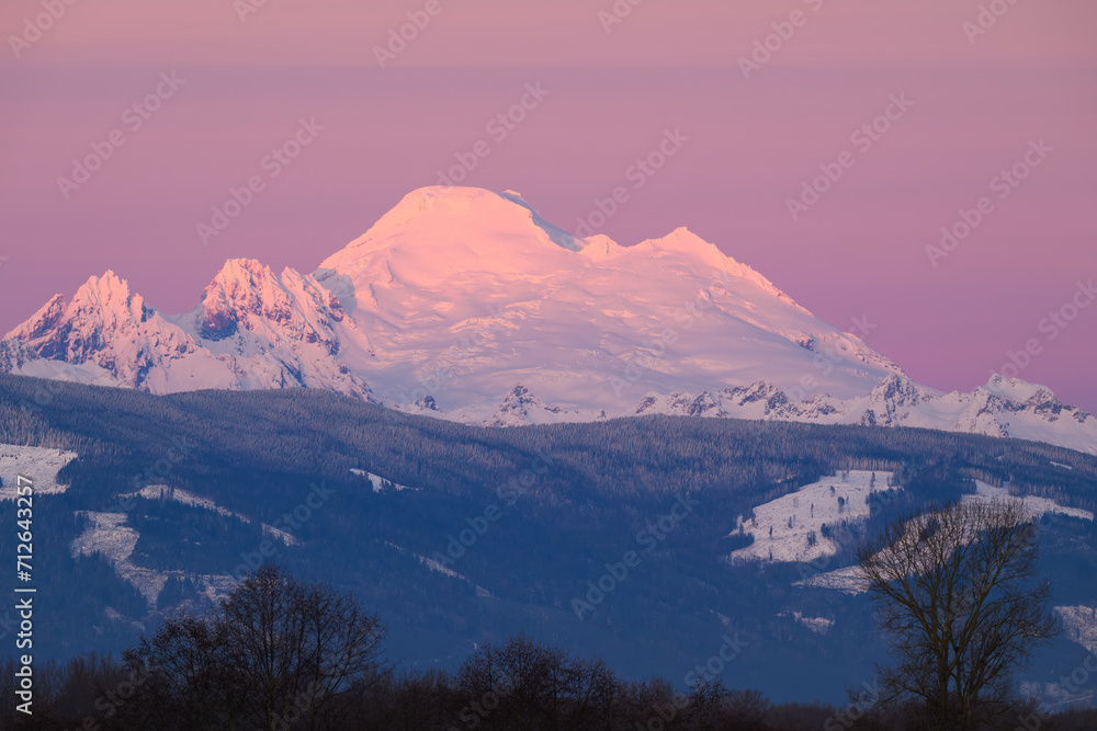Evening light creates a purple hue in the sky above volcanic Mount Baker in the Cascade Mountains Range