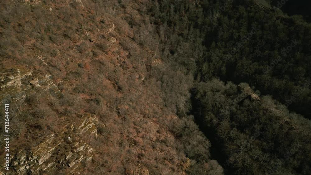 Fly over natural forest with river Viaur in Aveyron France Fly over natural forest with river Viaur in Aveyron France